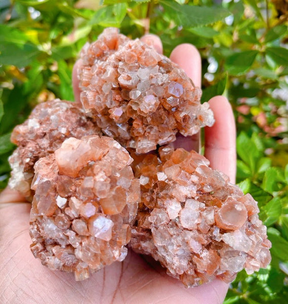 XL Rough Aragonite Star Cluster