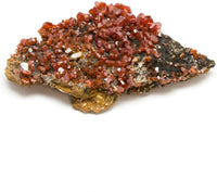 Medium Gorgeous Rough Moroccan Vanadinite 2” each